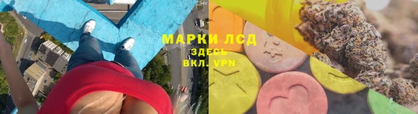 индика Тавда