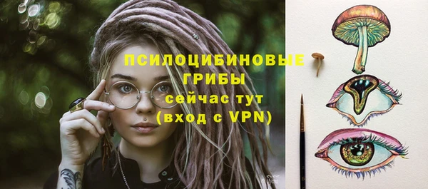 соль ск Алексеевка