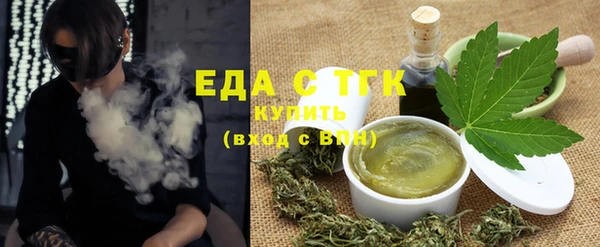 индика Тавда