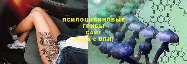 spice Тайга